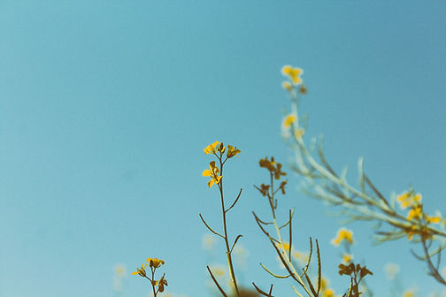 Image by Larm Rmah