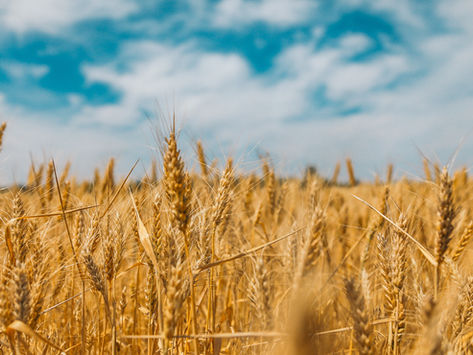 Shavuot and the Holy Spirit