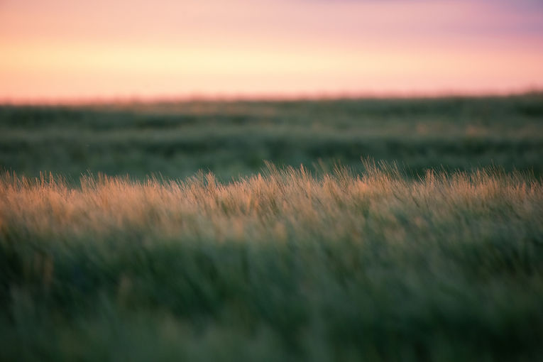 Image by Neil Mark Thomas