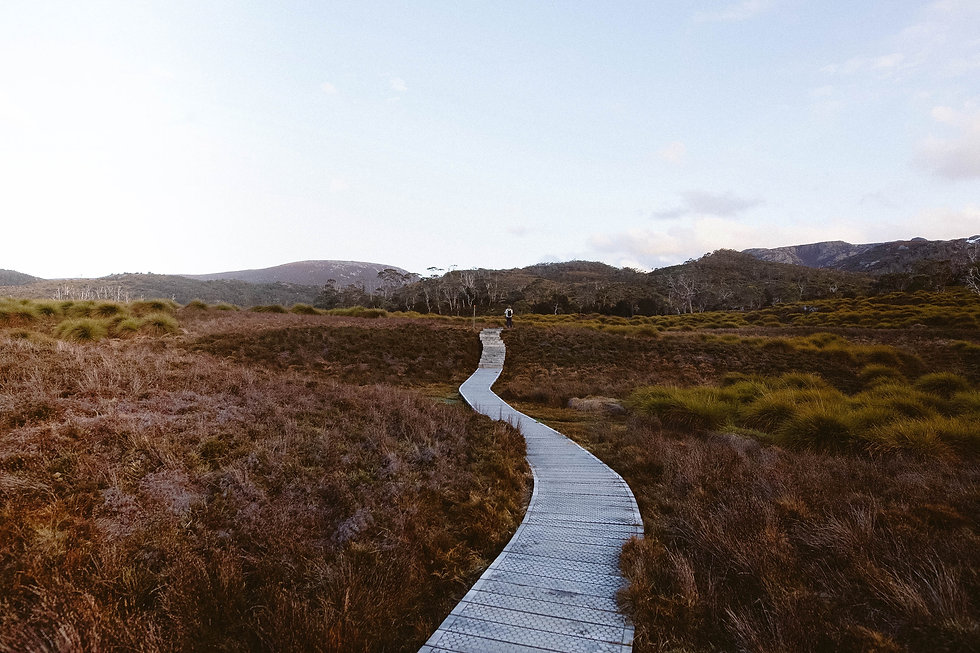 Image by Natallia Safonava