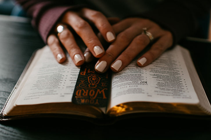 Image by Kelly Sikkema