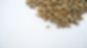Image by Coffee Geek