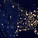 Image by NASA