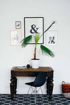 Image by Alexandra Gorn