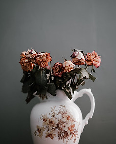 Image by Annie Spratt