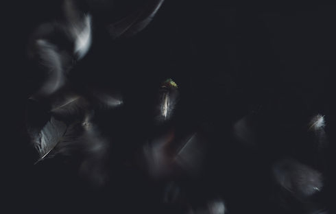 Image by Evie S.