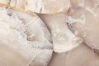 Image by Olga O