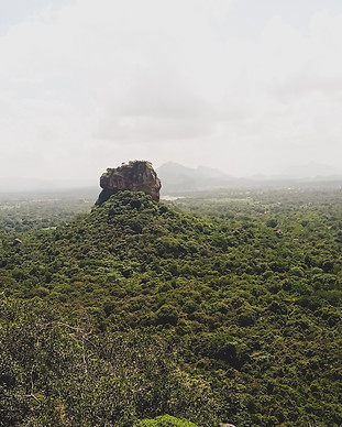 Image by Manoj Malshan