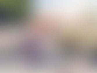 What does an Interim Care Order Do?