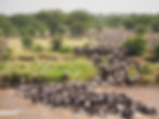 Image by Jorge Tung