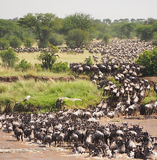 Serengeti National Park, Tanzania
