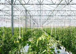 Image by Erwan Hesry