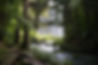 Wilderness