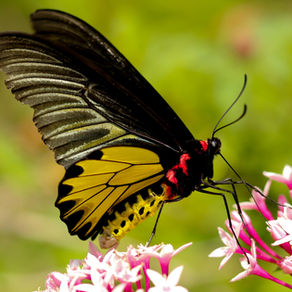 Cultivate Updates - Spring 2025