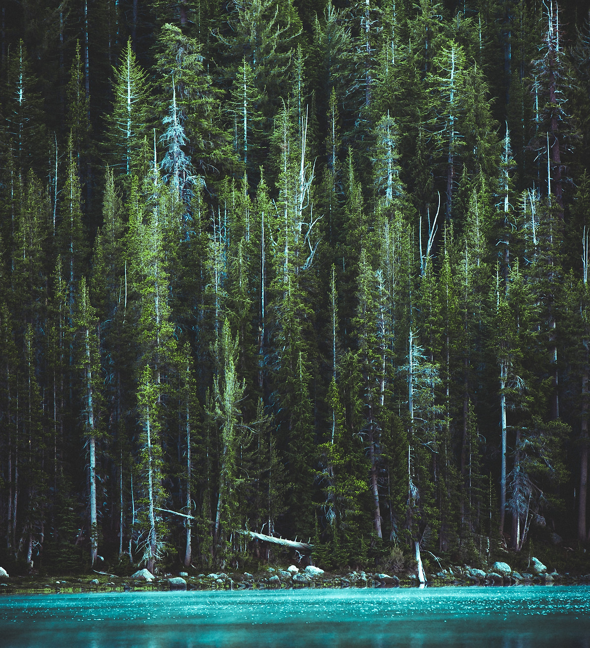 Image by Casey Horner