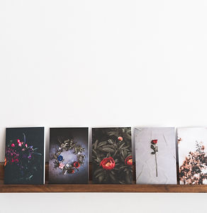 Image by Annie Spratt