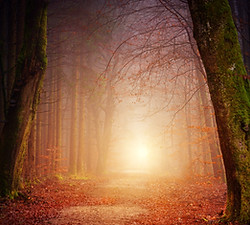 Image by Johannes Plenio