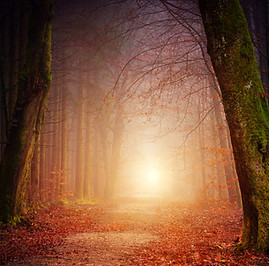 Image by Johannes Plenio
