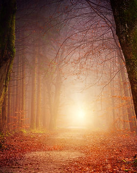 Image by Johannes Plenio