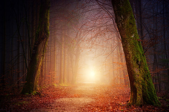 Image by Johannes Plenio