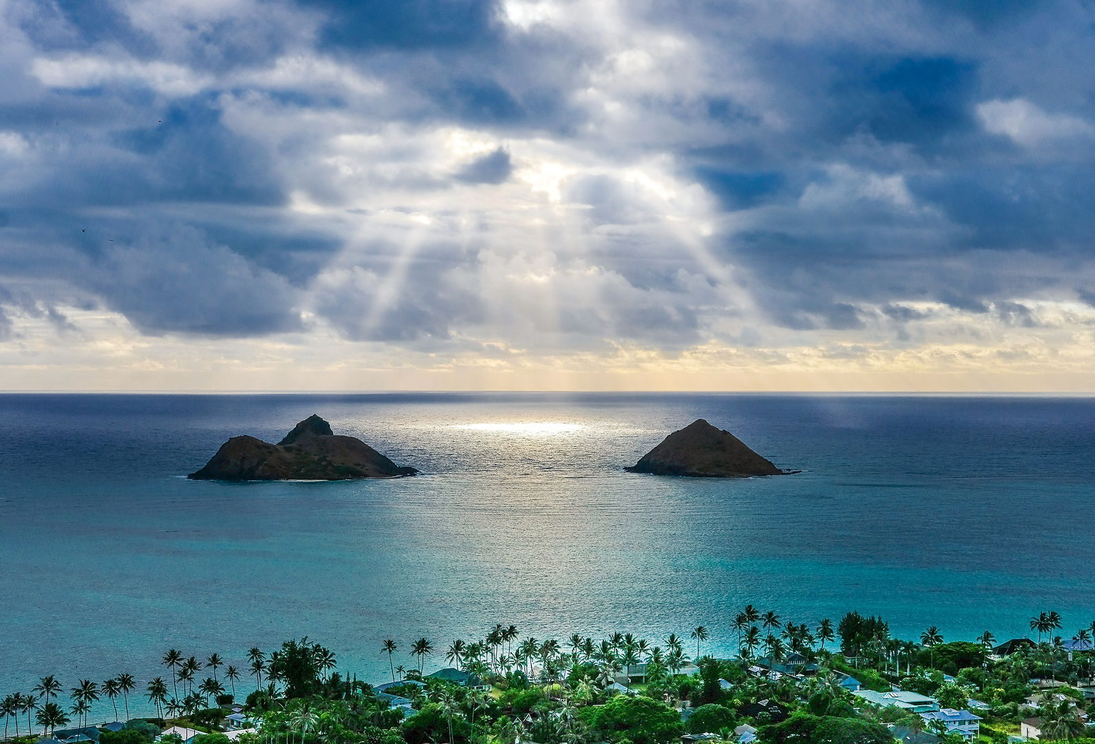 Image by Amanda Phung, BLICK AUF EIN PARADIES