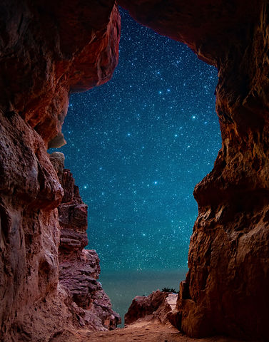 Image by Tom Gainor