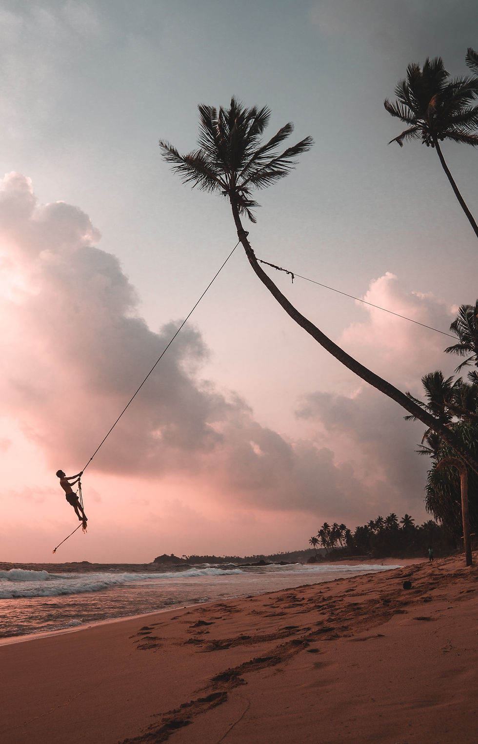 Person swinging from a palm tree on a Sri Lanka beach. Image by Alex Azabache