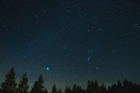 field of stars (constellations Orion and the brightest star of the night sky: Sirius)
