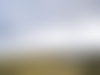 Vorteile für ein Unternehmen als Mitglied in einer EWIV in Bezug auf Krisen Klimawandel usw.. -