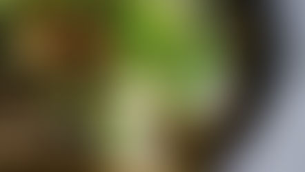 Ernährung verbessern - ganz einfach