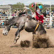 Cherokee County Gears Up for the Great American Rodeo in Andrews