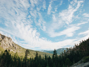 December Reflection                                         The Gift of Awareness:                           Celebrating the Richness of Mindfulness