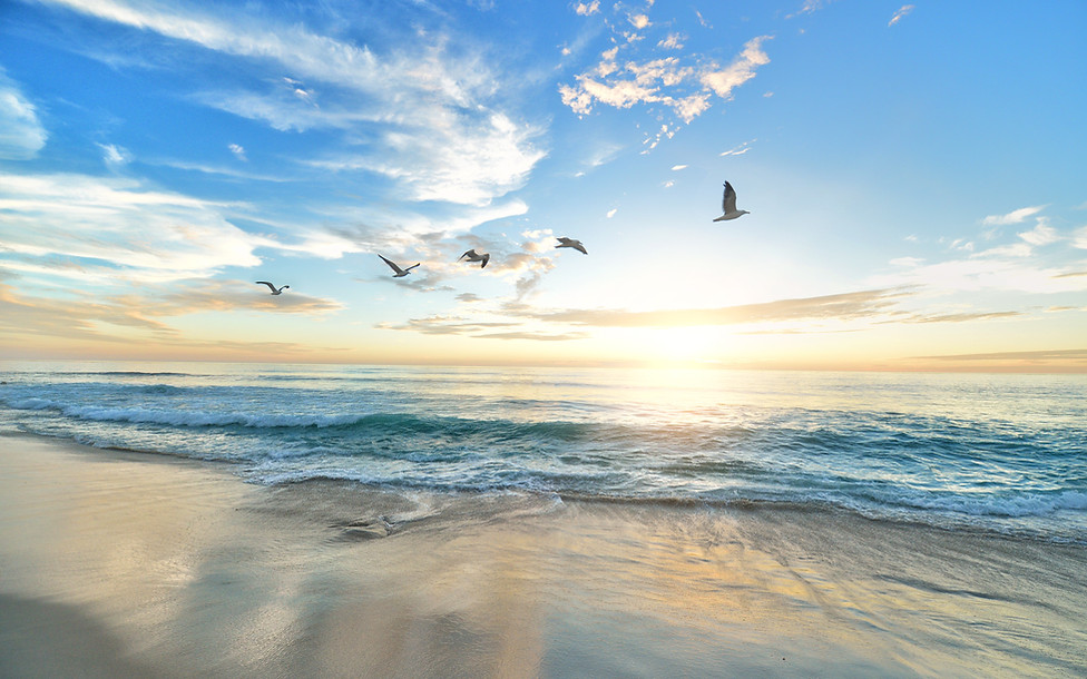 NaturSein, Natur, Image by frank mckenna