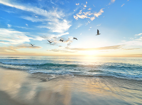 Image by frank mckenna