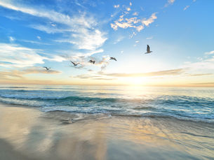 Teaching Mindfulness: Ask Why?