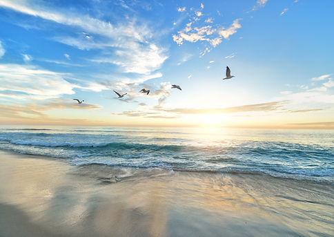 Breath of fresh air sea view