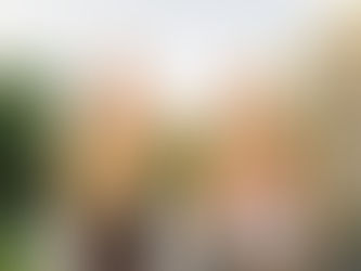 Couple de parents tenant leurs bébés dans les airs, illustrant le rêve de parentalité grâce à la gestation pour autrui aux États-Unis.