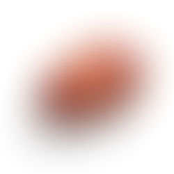 Nick Check Soon Gone (Already Forgotten)