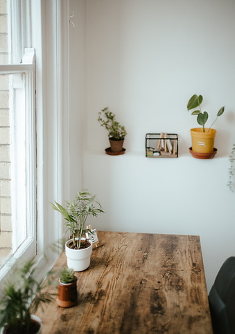 A table next to the window with several small plants on, a white wall with two plants and a pictures