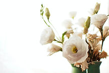 Image by Flor Saurina
