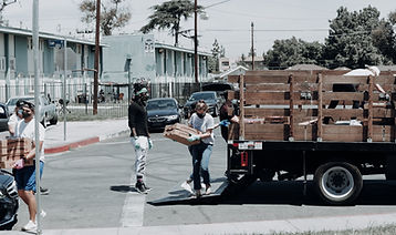 Image by Joel Muniz