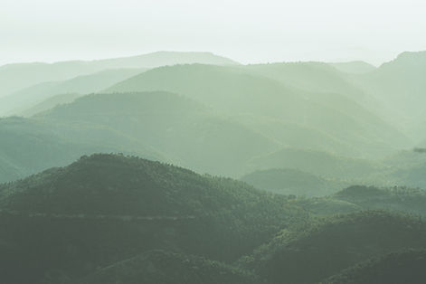 Image by Jonas Allert