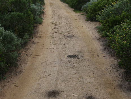 Dystopia Chapter 23: Personal