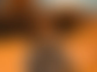 Đối mặt với căng thẳng: Động vật "xả stress" như thế nào?