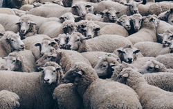 Image by Christopher Burns