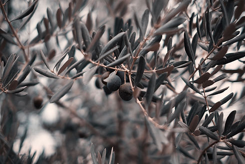 Image de Emre Gencer