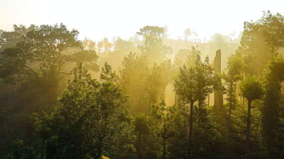 Image by vaitheeswaran Nataraj