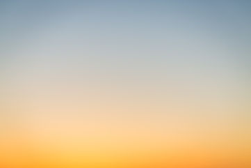 Image by César Couto