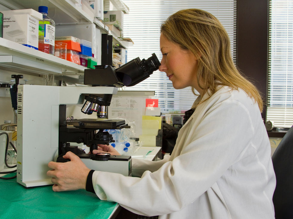 Comitiva brasileira leva experiência com biológicos agrícolas aos EUA