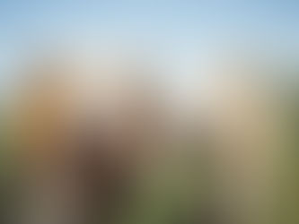 Market Report 05/15/2023